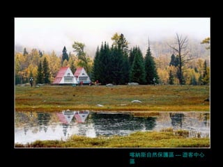 喀納斯自然保護區 --- 遊客中心區 