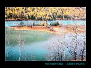 喀納斯自然保護區 --- 臥龍灣的夢幻景色 