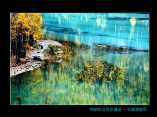 喀納斯自然保護區 --- 臥龍灣鏡影 