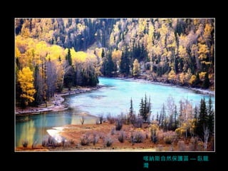 喀納斯自然保護區 --- 臥龍灣 