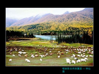 喀納斯自然保護區 --- 神仙灣 