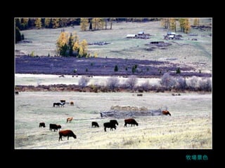 牧場景色 