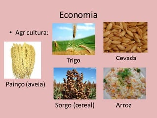 Economia
 • Agricultura:


                     Trigo         Cevada


Painço (aveia)


                  Sorgo (cereal)   Arroz
 