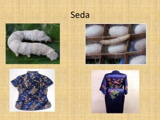 Seda
 