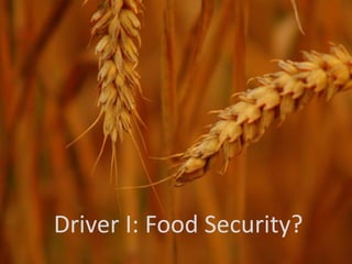 Driver I: Food Security?
 