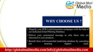 China Business Email Database Ppt