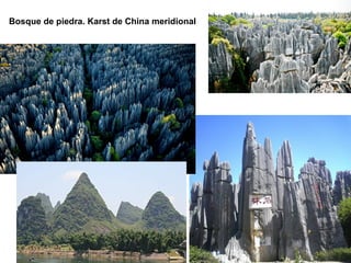 Bosque de piedra. Karst de China meridional
 