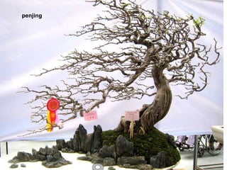 penjing
 