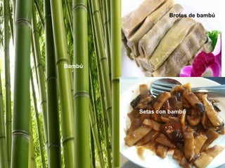 Brotes de bambú




Bambú




        Setas con bambú
 