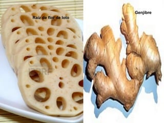 Genjibre
Raíz de flor de loto
 