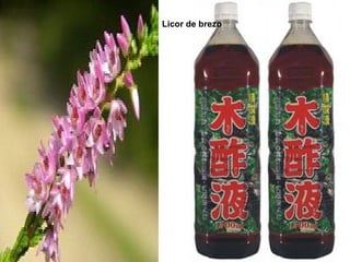 Licor de brezo
 