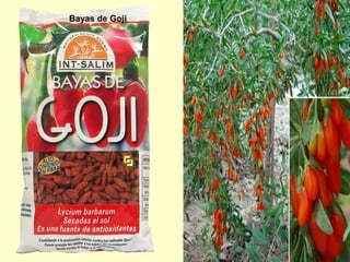 Bayas de Goji
 