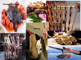 Tortuga estofada   Babosa de mar
                                          Escorpiones fritos




                       Perros




                                   Sopa de aleta de tiburón
 