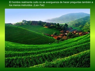 El hombre realmente culto no se averguenza de hacer preguntas también a los menos instruídos.  (Lao-Tsé) 