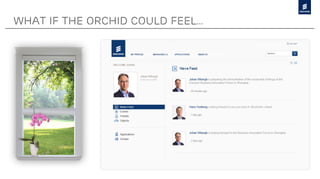 What if the orchid could feel…
 