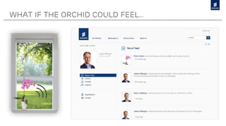 What if the orchid could feel…
 