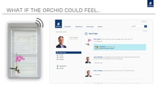 What if the orchid could feel…
 