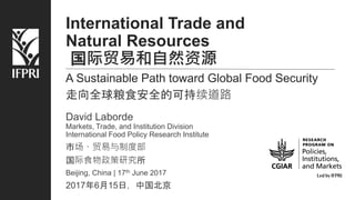 International Trade and
Natural Resources
国际贸易和自然资源
A Sustainable Path toward Global Food Security
走向全球粮食安全的可持续道路
David Laborde
Markets, Trade, and Institution Division
International Food Policy Research Institute
市场、贸易与制度部
国际食物政策研究所
Beijing, China | 17th June 2017
2017年6月15日，中国北京
 