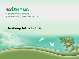 Haisheng Introduction 