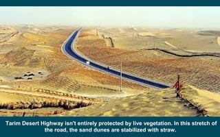 Tarim Desert Highway isn't entirely protected by live vegetation. In this stretch of
the road, the sand dunes are stabilized with straw.
 