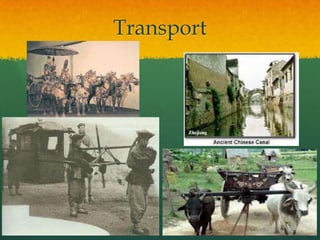 Transport
 