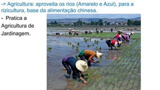-> Agricultura: aproveita os rios (Amarelo e Azul), para a
rizicultura, base da alimentação chinesa.
- Pratica a
Agricultura de
Jardinagem.
 