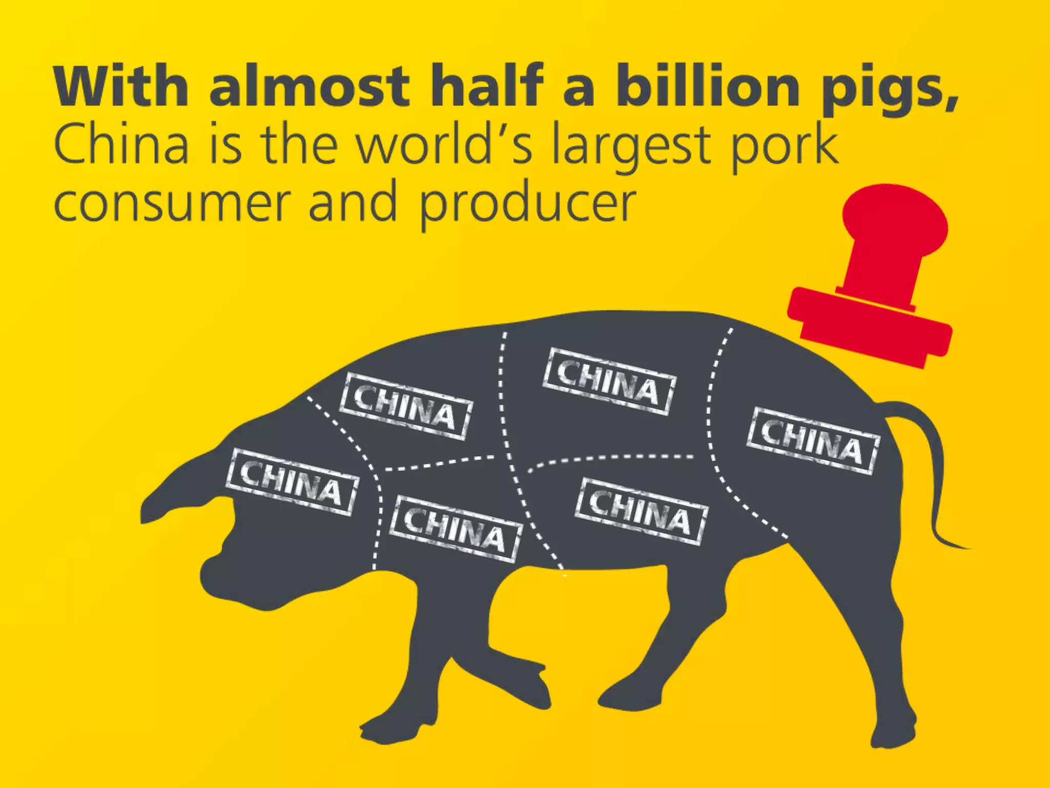 China Amazing Facts Powerpoint Presentation