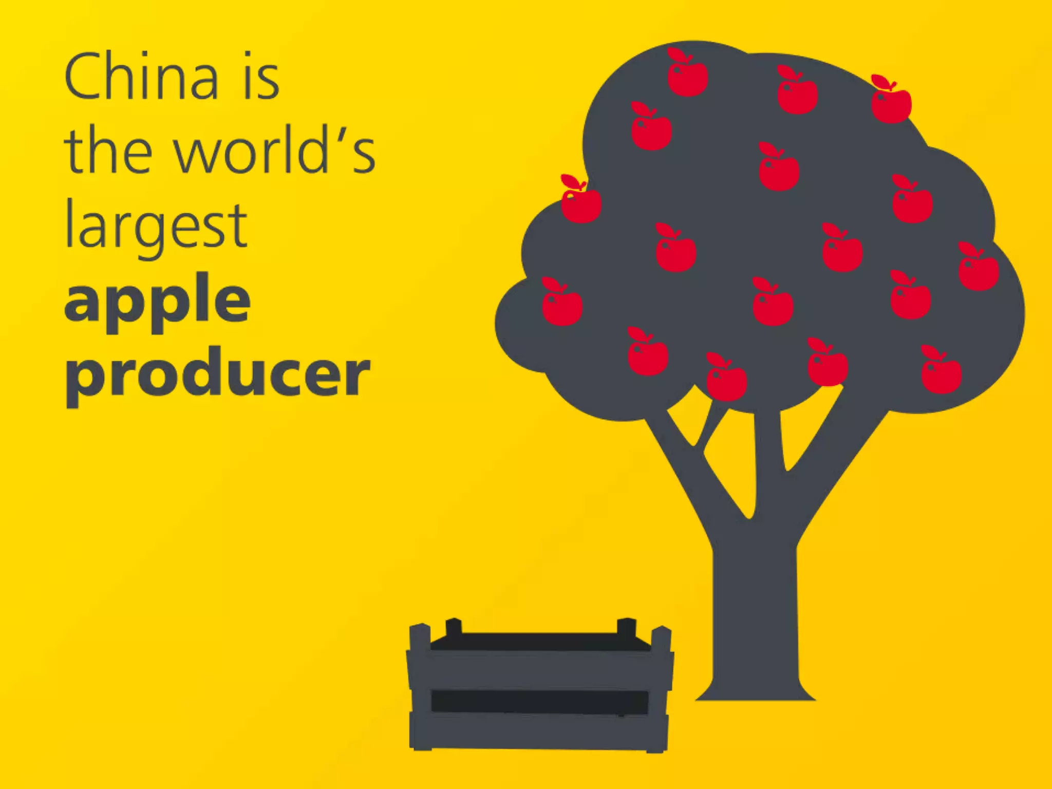 China Amazing Facts Powerpoint Presentation