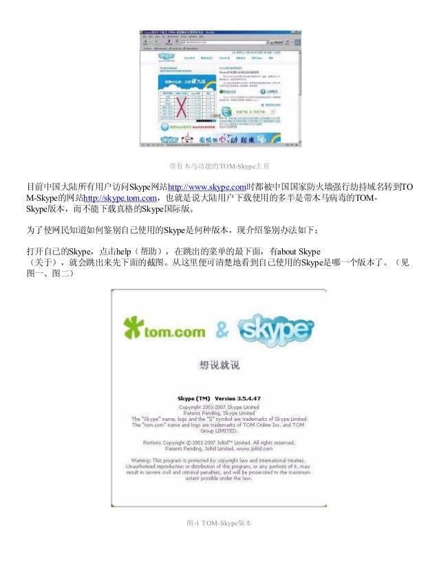 China Internet Report 2 In Chinese