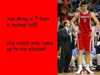Yao Ming is 7 feet 6 inches tall!! His coach only came up to his elbows!! 