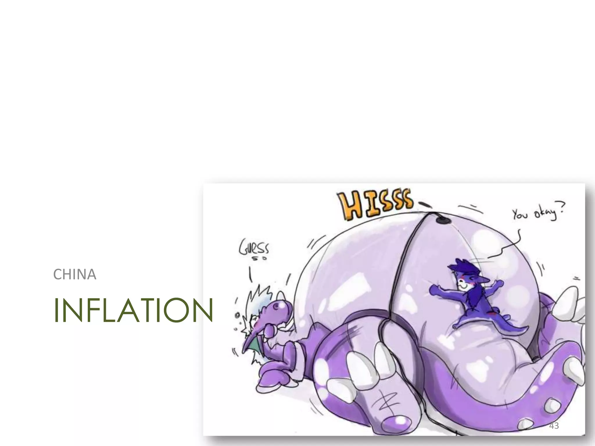 CHINA

INFLATION


            43
 