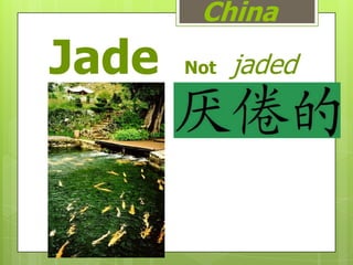 China
Jade   Not   jaded
 