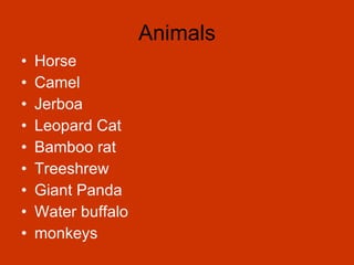 Animals Horse Camel Jerboa Leopard Cat Bamboo rat Treeshrew Giant Panda Water buffalo monkeys 