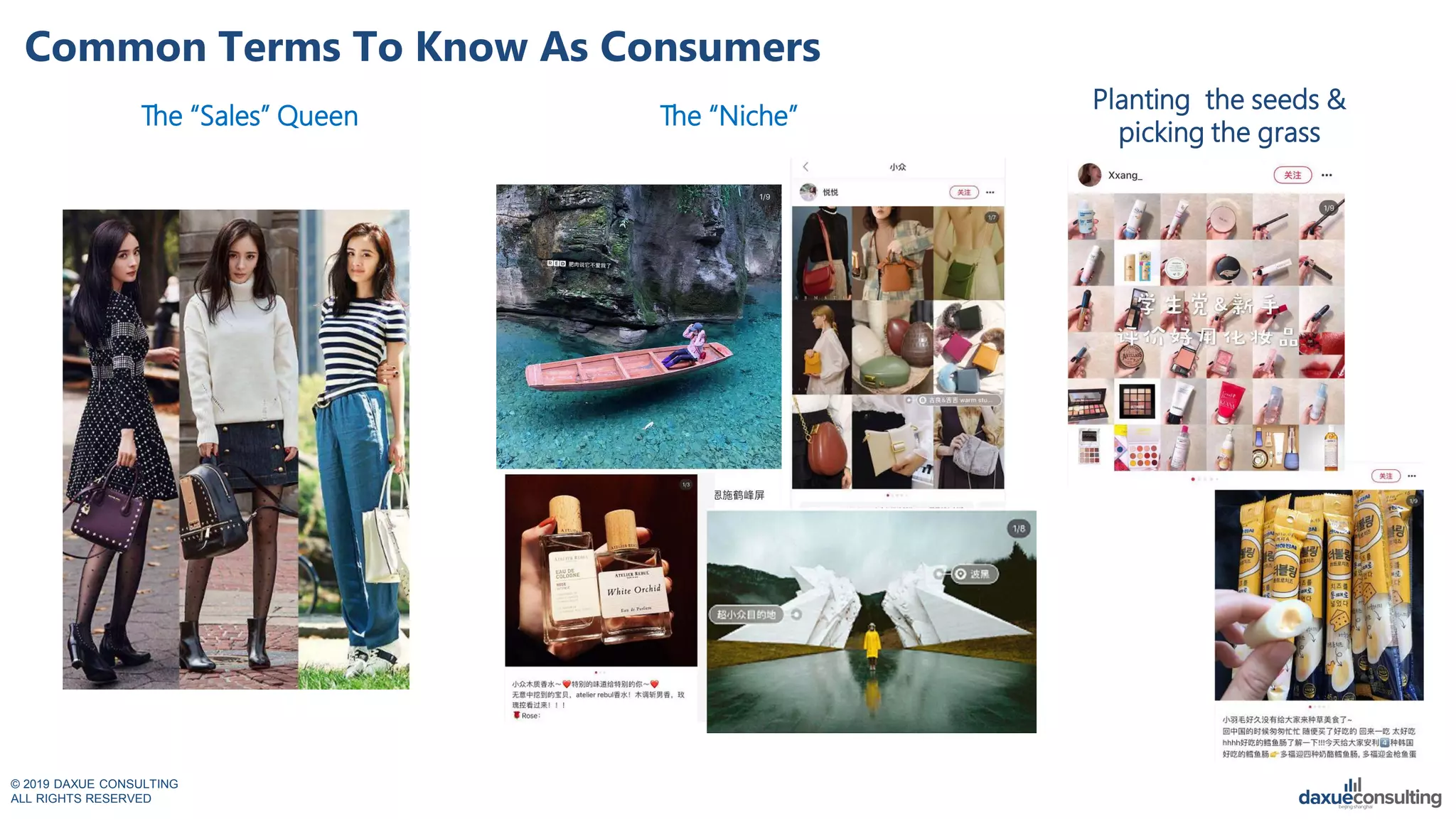 © 2019 DAXUE CONSULTING
ALL RIGHTS RESERVED
Common Terms To Know As Consumers
The “Sales” Queen
Planting the seeds &
picking the grass
The “Niche”
 
