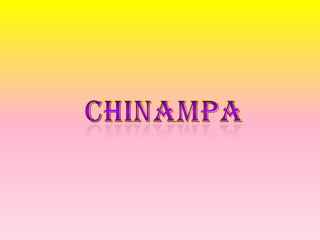 chinampa 