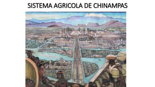 SISTEMA AGRICOLA DE CHINAMPAS
 