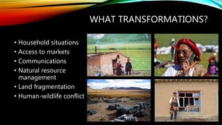 WHAT TRANSFORMATIONS?
• Household situations
• Access to markets
• Communications
• Natural resource
management
• Land fra...