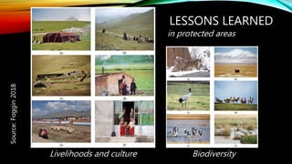 LESSONS LEARNED
Source:Foggin2018
BiodiversityLivelihoods and culture
in protected areas
 