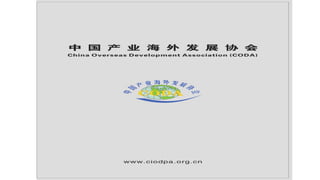 China overseas investment