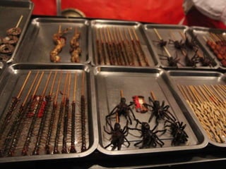 OHS Changzhou Trip, 2014