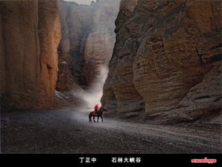 丁正中       石林大峽谷   