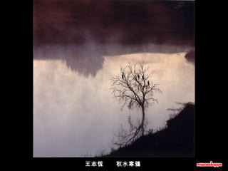 王志恆      秋水寒鴉  