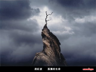 段紅波      孤獨的生命   