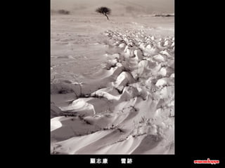 顧志康      雪跡  