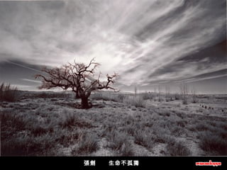 張劍      生命不孤獨   