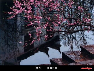 張丹       江南三月  