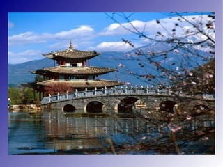 CHINESSE FOODS <ul><li>Rice, duck pork,chicken, vegetables </li></ul>