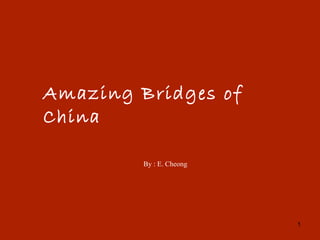 Amazing Bridges of China By : E. Cheong 
