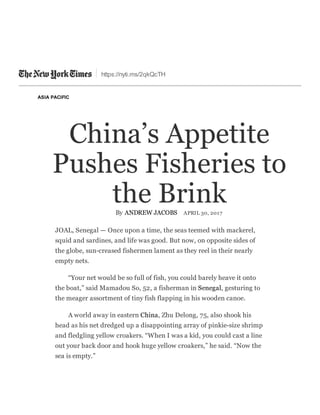 https://nyti.ms/2qkQcTH
ASIA PACIFIC
China’s Appetite
Pushes Fisheries to
the BrinkBy ANDREW JACOBS APRIL 30, 2017
JOAL, Senegal — Once upon a time, the seas teemed with mackerel,
squid and sardines, and life was good. But now, on opposite sides of
the globe, sun­creased fishermen lament as they reel in their nearly
empty nets.
“Your net would be so full of fish, you could barely heave it onto
the boat,” said Mamadou So, 52, a fisherman in Senegal, gesturing to
the meager assortment of tiny fish flapping in his wooden canoe.
A world away in eastern China, Zhu Delong, 75, also shook his
head as his net dredged up a disappointing array of pinkie­size shrimp
and fledgling yellow croakers. “When I was a kid, you could cast a line
out your back door and hook huge yellow croakers,” he said. “Now the
sea is empty.”
 