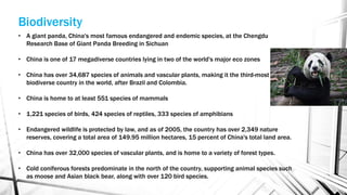 • A giant panda, China's most famous endangered and endemic species, at the Chengdu
Research Base of Giant Panda Breeding in Sichuan
• China is one of 17 megadiverse countries lying in two of the world's major eco zones
• China has over 34,687 species of animals and vascular plants, making it the third-most
biodiverse country in the world, after Brazil and Colombia.
• China is home to at least 551 species of mammals
• 1,221 species of birds, 424 species of reptiles, 333 species of amphibians
• Endangered wildlife is protected by law, and as of 2005, the country has over 2,349 nature
reserves, covering a total area of 149.95 million hectares, 15 percent of China's total land area.
• China has over 32,000 species of vascular plants, and is home to a variety of forest types.
• Cold coniferous forests predominate in the north of the country, supporting animal species such
as moose and Asian black bear, along with over 120 bird species.
Biodiversity
 